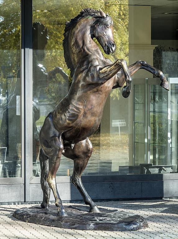 Stallion-sculpture-bronze-Sculptura