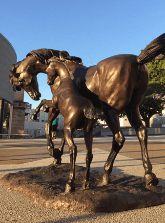 Sculptura - Mare and Foal