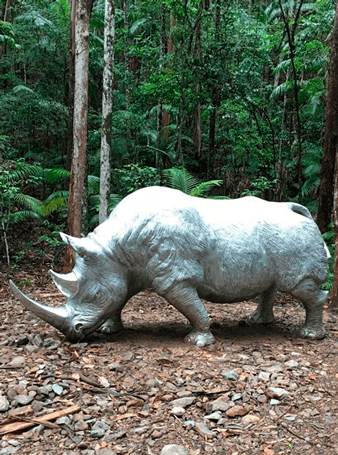 Sculptura-Rhino