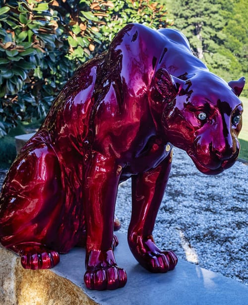 Sculptura-Ruby-Panther-260-
