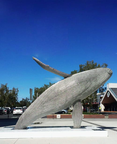 Breaching-Whale - -Mike-Van-Dam - -whale-stainless-steel-sculpture - -centre-500x615