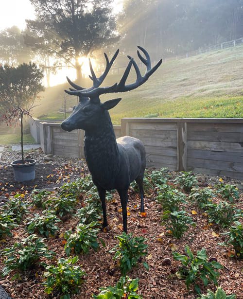 Sculptura-Stag - at country estate